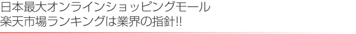 日本最大オンラインショッピング「楽天市場ランキング」は業界の指針!!